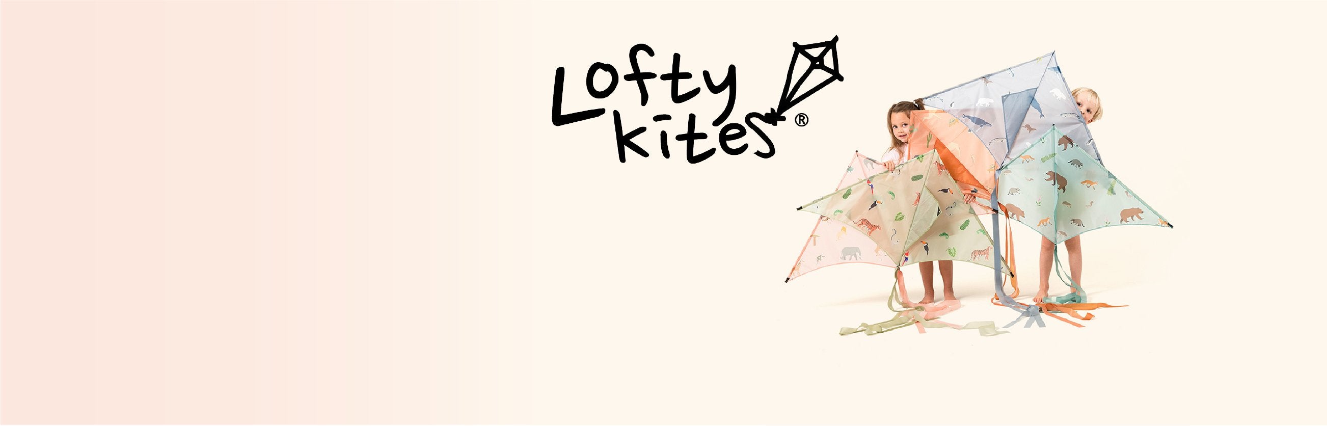 Sustainable Kites