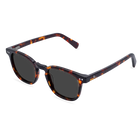 Alba Tortoiseshell From Bird Eyewear