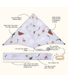 Polar - Sustainable Kite From Lofty Kites