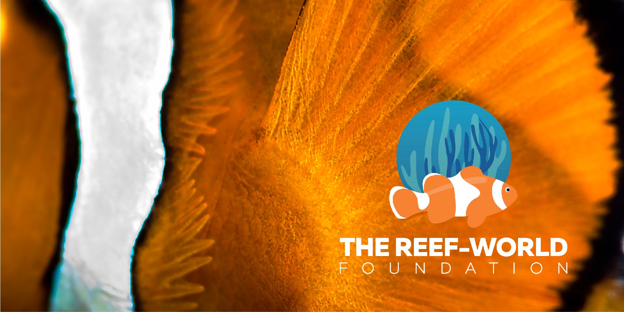 Reef world foundation Logo